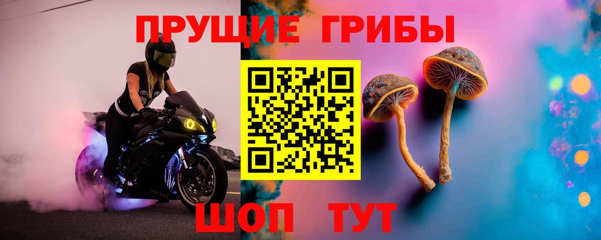Псилоцибиновые грибы Magic Shrooms Ярославль